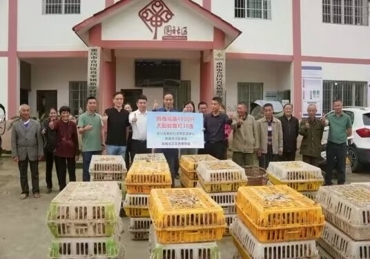 免费送农资、安路灯 民建合川区委会助农增收添动力