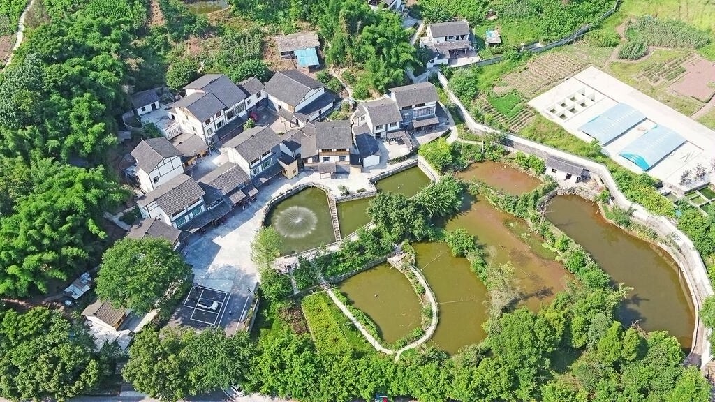 合川：村美民富春满园 乡村处处美如画