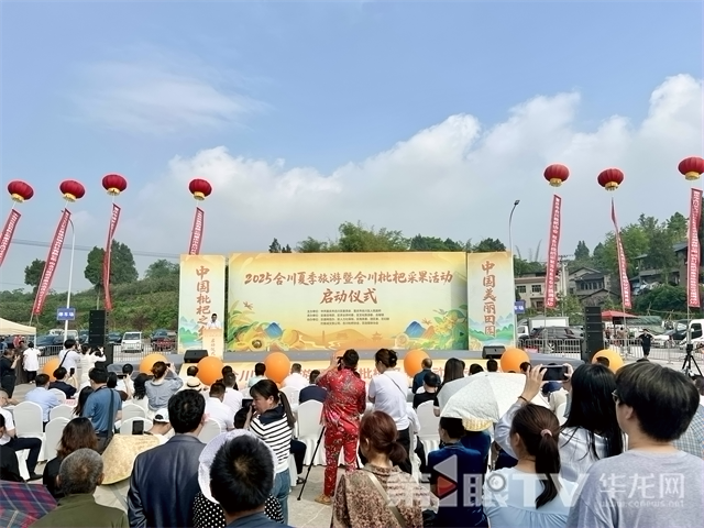 从枝头到舌尖 合川枇杷承包你的六月味蕾