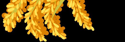 万里情系“百家饭”！以车为家，追赶丰收的“稻客”