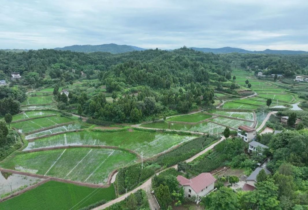 全国名单！合川一案例入选！