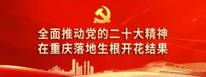 姜雪松：奋力开创全面依法治区工作新局面