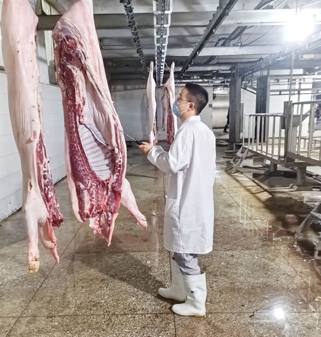 合阳城街道 强化高温季节屠宰监管 全力保障畜产品质量安全