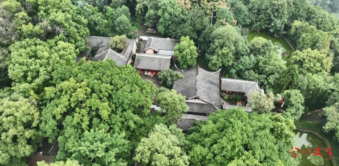 国庆期间，游客争相打卡钓鱼城870年“巴渝第一桂”！