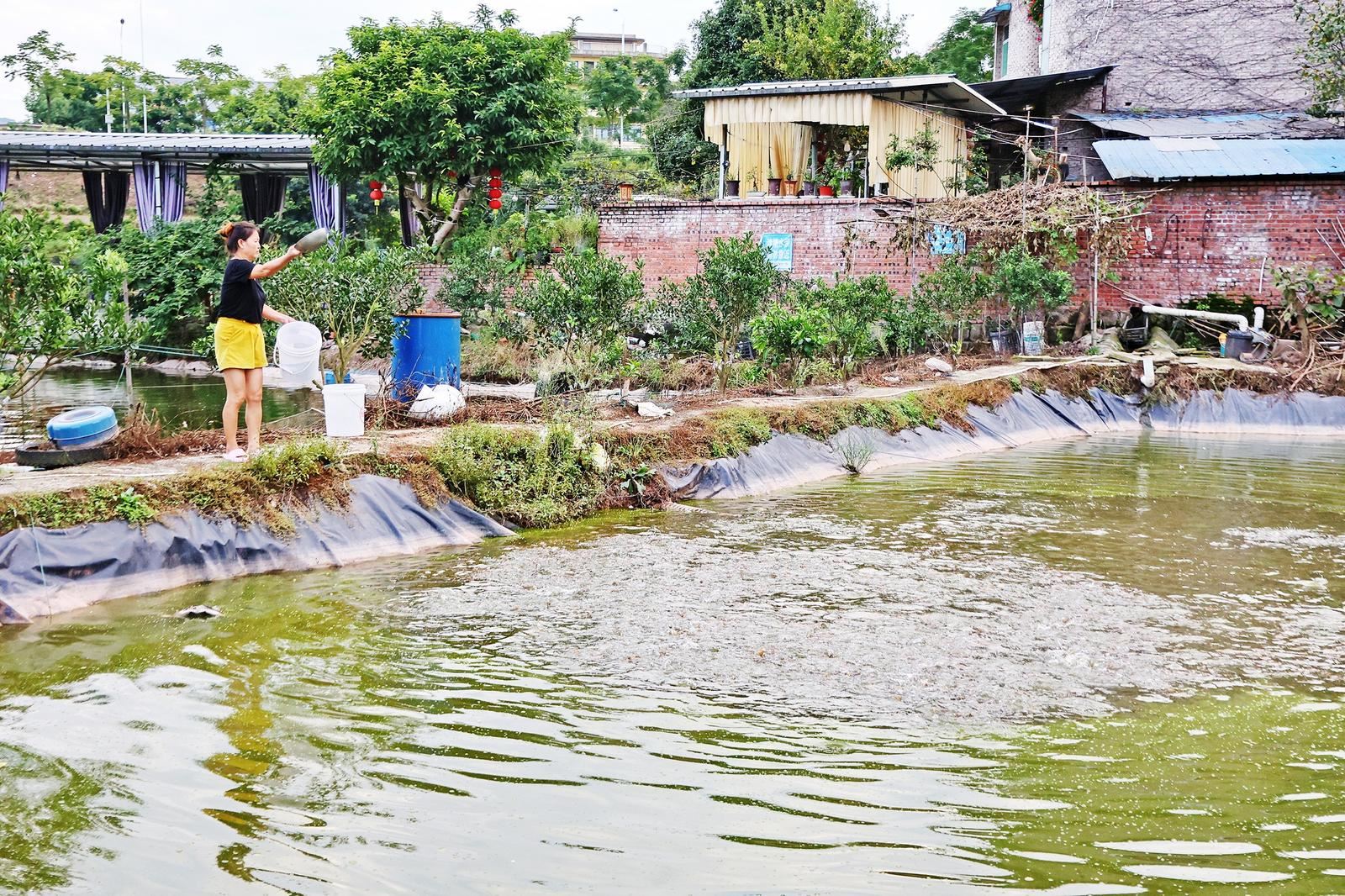 生态养殖结硕果 日子越过越红火