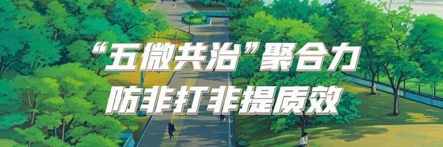 防非打非，南津街街道“五微共治”显成效！