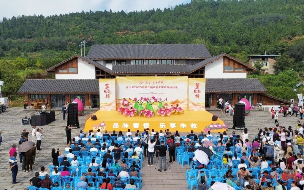 “薯”于秋天的香甜！合川这场活动好热闹~~