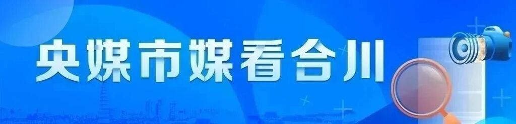 央媒市媒看合川 | 农民日报——田成方渠相连 收割机直接开进田