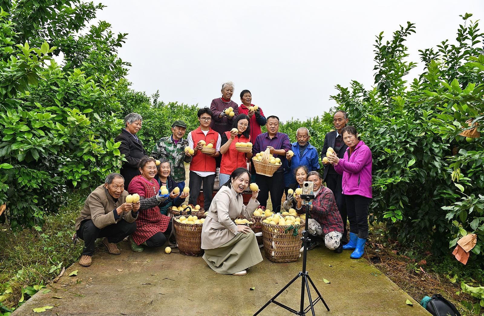 合川区农产品“触电上网” 借助电商“快车”畅销各地