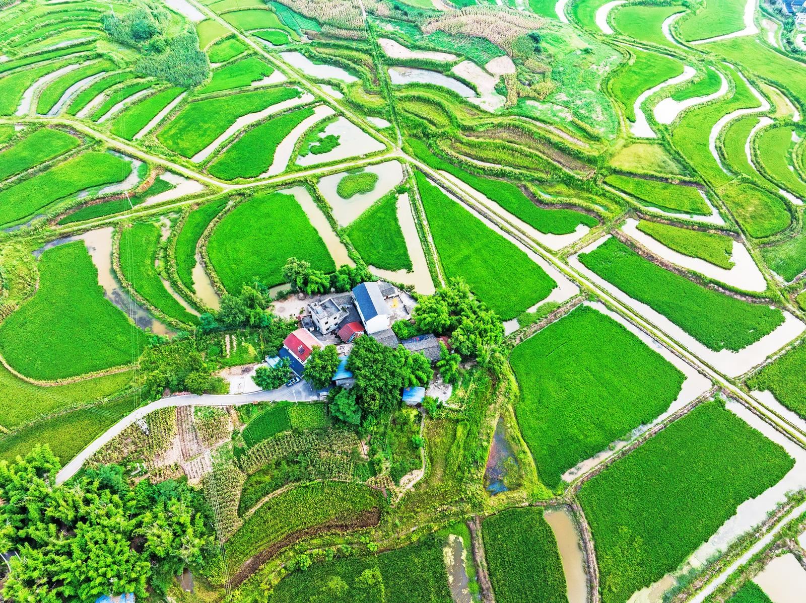 图片新闻|田舍环翠