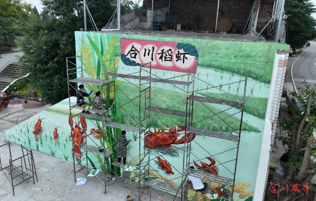 “合川渔”综合服务中心建设，进度条刷新！