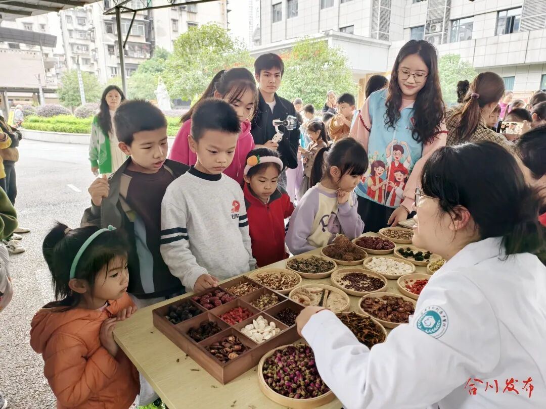 播下中医传承的种子！合川“小小中医师”探秘国粹魅力