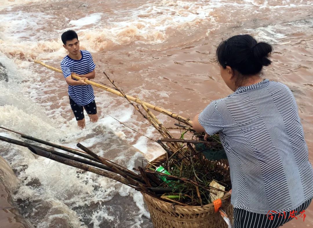 以青春之力护碧水之清，合川“河小青”在行动！