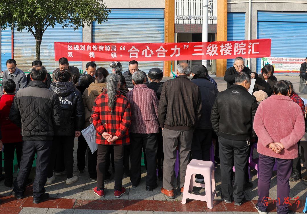 听民声、解民忧！区规资局、双槐镇联合“出街”直面群众关切