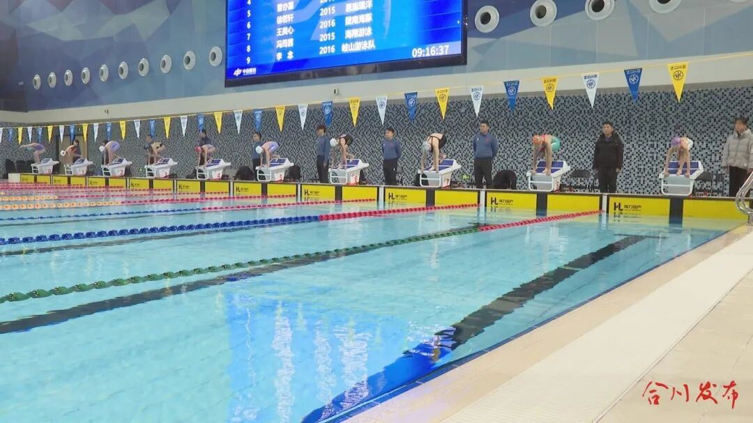 1511名泳将逐浪合川！2025全国游泳俱乐部锦标赛圆满落幕