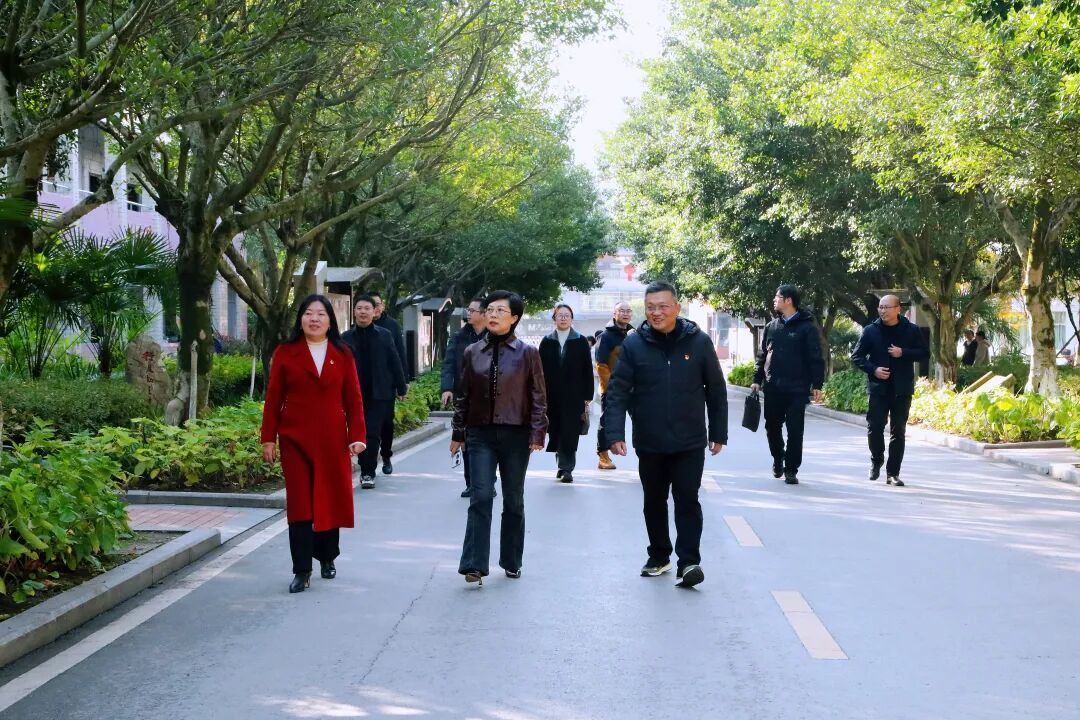 区领导带队到龙市中学调研