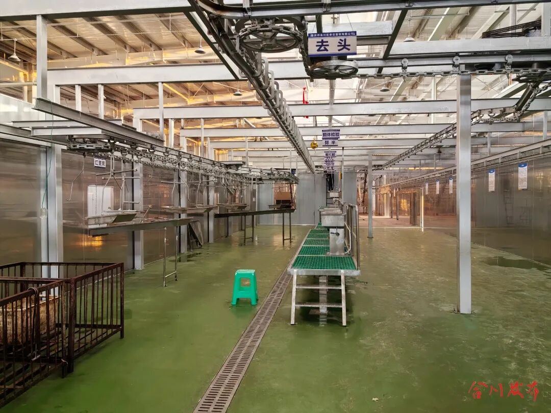 全新升级！大石街道泰旺屠宰场改造完成