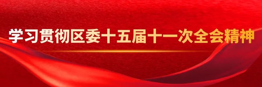 未来五年合川怎么干？一图速览合川“十五五”规划建议
