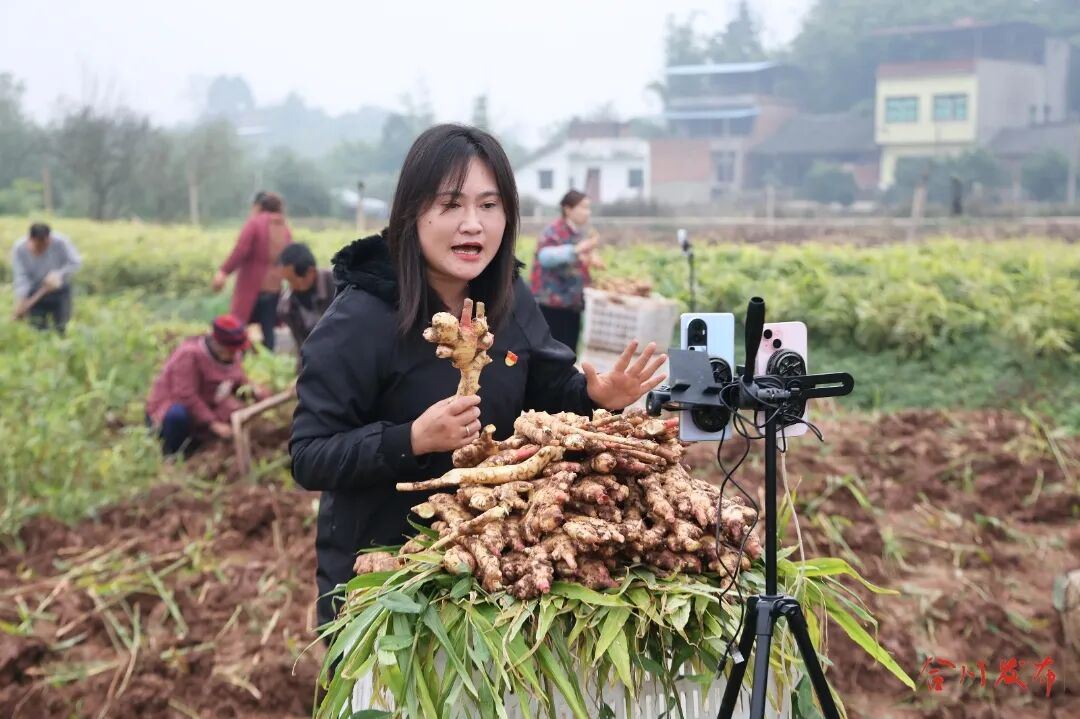 村干部变身“带货主播”！隆兴镇广福村闯出“云端”致富路