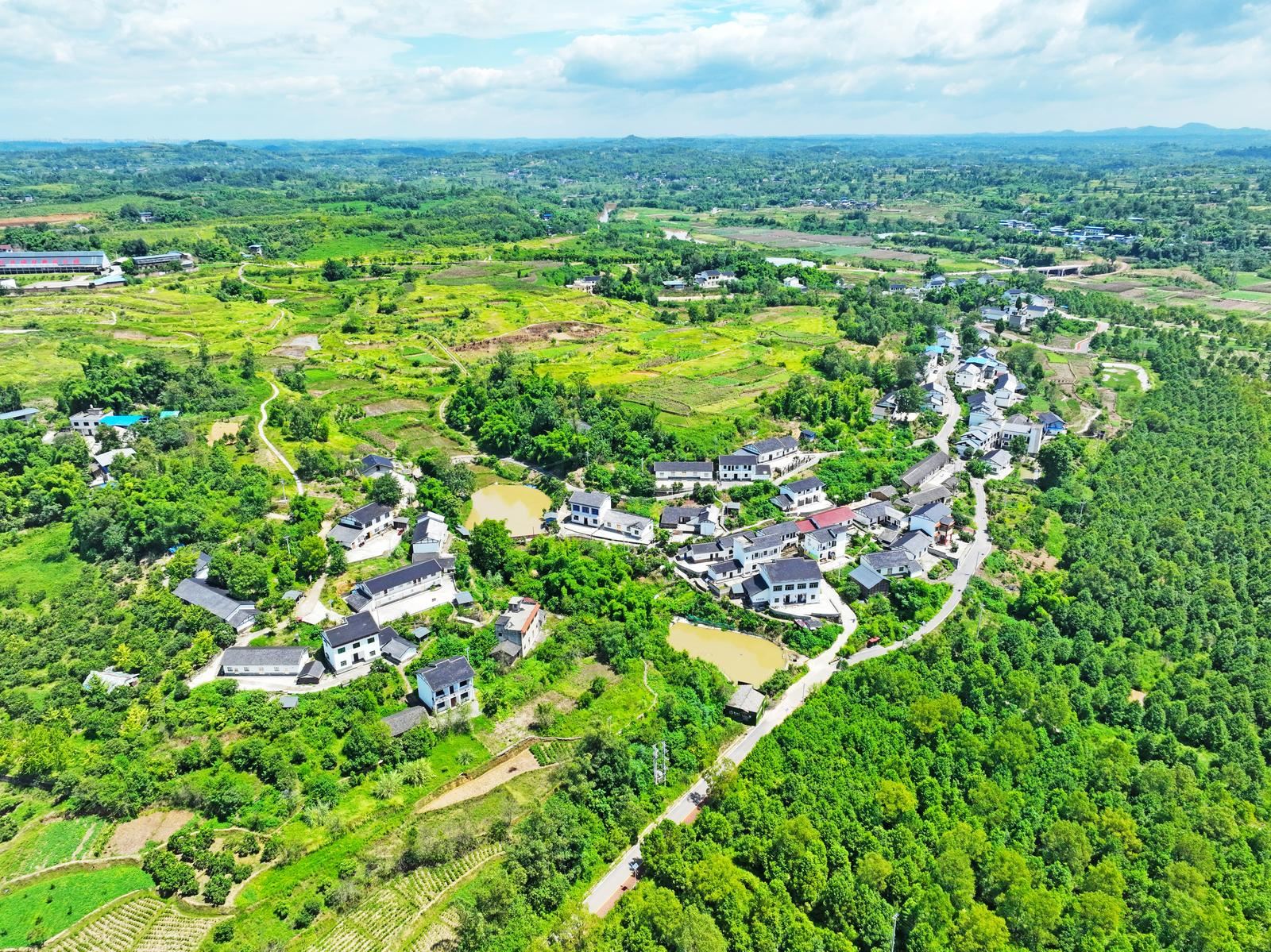 图片新闻|家园如画