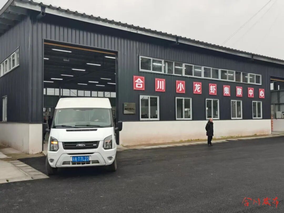 二郎镇冬虾首发上市！冬天也能“嗦”小龙虾→