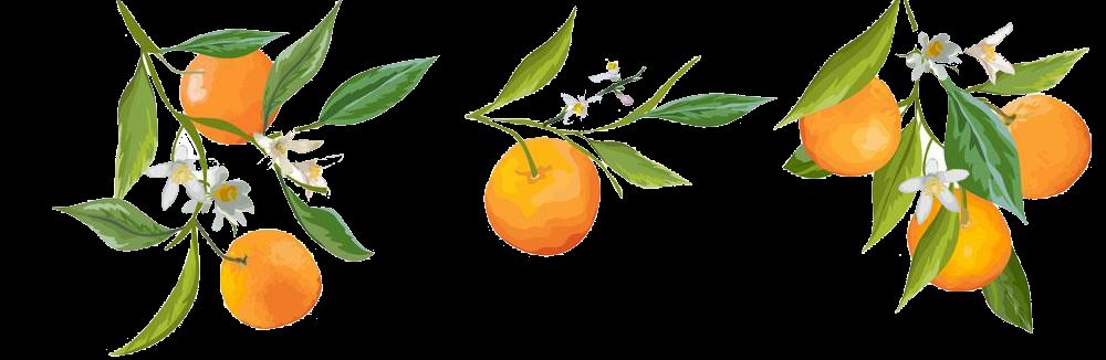 开炫！合川肖家镇橘子红了！